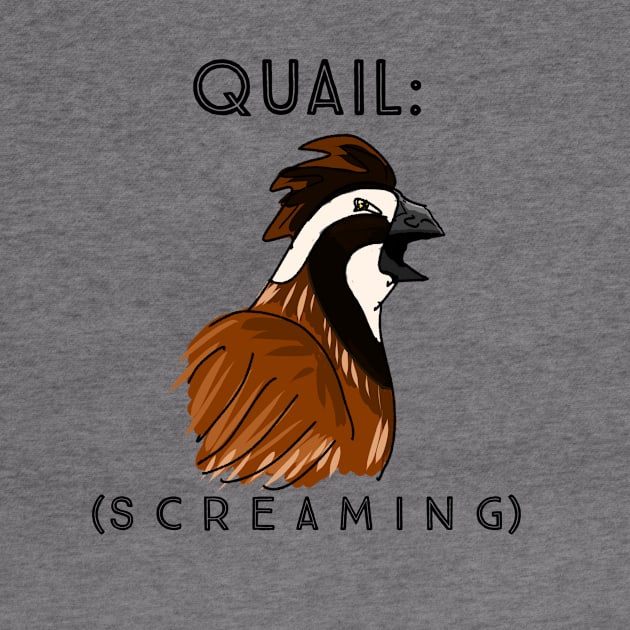 Screaming Quail by KatsMind